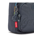 Рюкзак Kipling DELIA COMPACT Cc Graphics (Y32) KI5160_Y32 картинка, зображення, фото