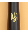 Ручка шариковая Parker URBAN UKRAINE Muted Black GT BP Трезубец 30035_T001y