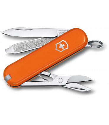 Складной нож Victorinox CLASSIC SD Colors 0.6223.83G