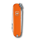 Складной нож Victorinox CLASSIC SD Colors 0.6223.83G