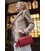 Жіноча шкіряна сумка Еліс червона Краст картинка, зображення, фото