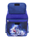 Рюкзак школьный Bagland Отличник 20 л. 225 синий 507 (0058070) картинка, изображение, фото