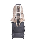 Рюкзак Vanguard VEO Range T 45M Beige (VEO Range T 45M BG) картинка, изображение, фото